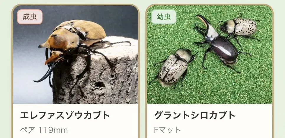 むし日記・むし広場の実画面